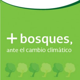 8 BOSQUES