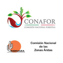 CONAFOR_CONAZA_ENTRADA