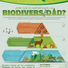 Biodiversidad I