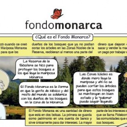 Fondo Monarca I